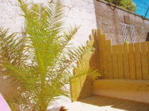 Designs and Pictures #14
