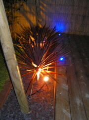 Designs and Pictures #05